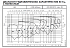NSCS 125-315/185/W45VCC4 - График насоса NSC, 4 полюса, 2990 об., 50 гц - картинка 3